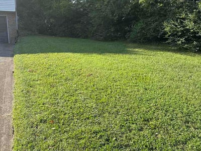 Lawn care service in Maryville, 37804