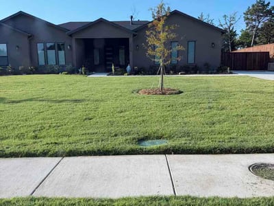 Lawn care service in Dallas, 75237
