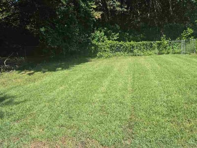 Lawn care service in Grandview, 64030