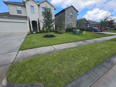 Lawn care service in New Caney, 77357