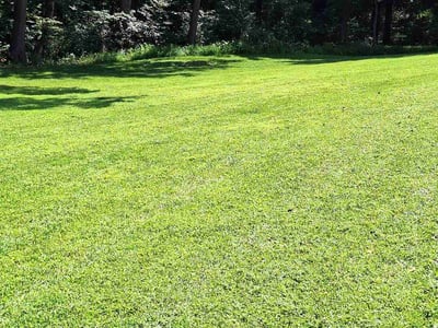 Lawn care service in Westminster, 21157