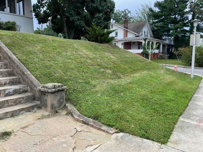 Lawn care service in Baltimore, 21216