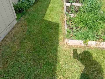 Lawn care service in Spokane, 99224