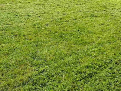 Lawn care service in Springfield, 65804