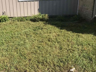 Lawn care service in Virginia Beach, 23462