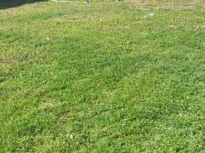 Lawn care service in Magnolia, 77354