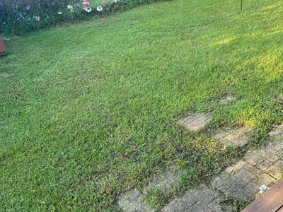 Lawn care service in Slidell, 70460