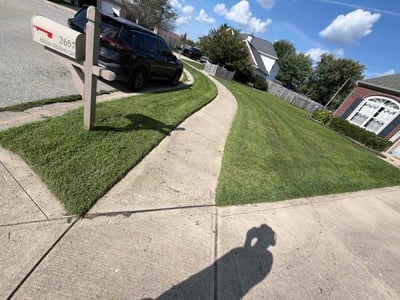 Lawn care service in Indianapolis, 46203