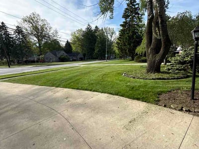Lawn care service in Westlake, 44145
