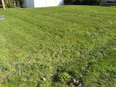 Lawn care service in Grand Rapids, 49506