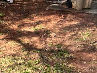 Lawn care service in McDonough, 30253