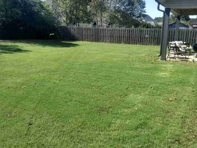 Lawn care service in Jackson, 38305
