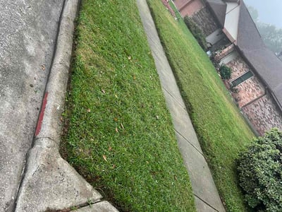 Lawn care service in Houston, 77067