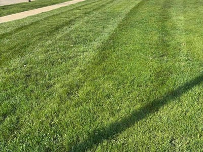 Lawn care service in Round Lake, 60073