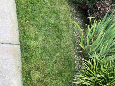 Lawn care service in Redondo Beach, 90278