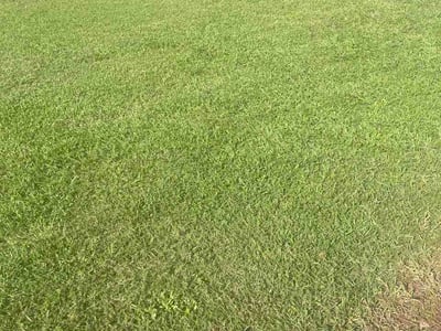 Lawn care service in McDonough, 30252