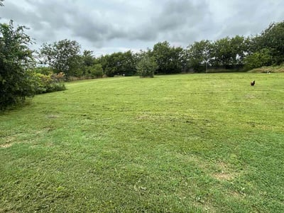 Lawn care service in Sanger, 76266
