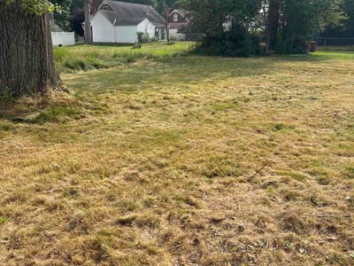 Lawn care service in Mansfield, 44906
