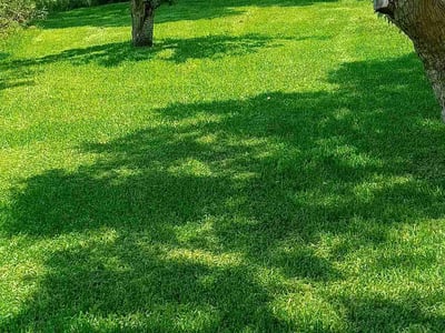 Lawn care service in Hampton, 23669