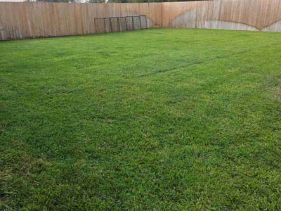Lawn care service in Bryan, 77807