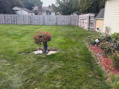 Lawn care service in Wyoming, 49509