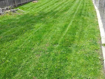 Lawn care service in Milwaukee, 53209