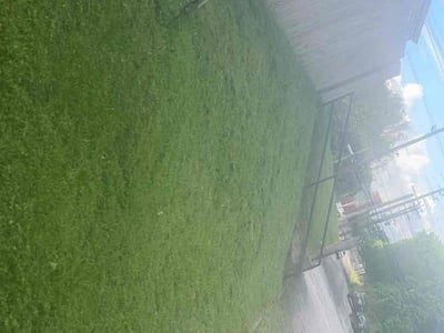 Lawn care service in Louisville, 40217