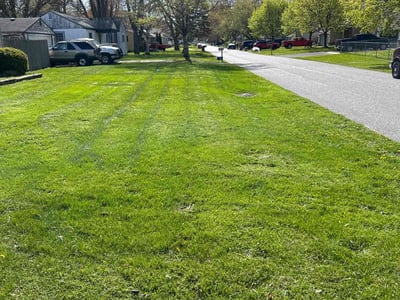 Lawn care service in Clinton Township, 48035