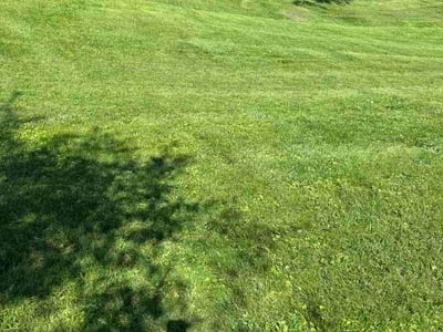 Lawn care service in Greensburg, 15601