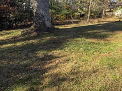 Lawn care service in Falls Church, 22043