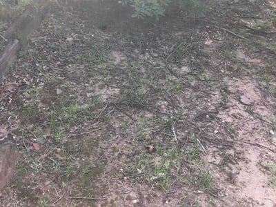 Lawn care service in Tulsa, 74136