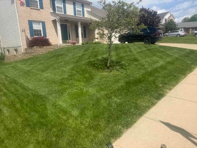 Lawn care service in Florence, 41042