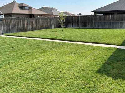 Lawn care service in Lubbock, 79424