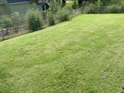 Lawn care service in Louisville, 40229