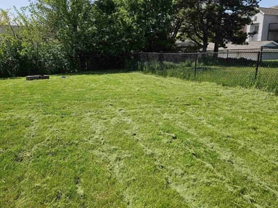 Lawn care service in Hiawatha, 52233