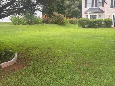 Lawn care service in Lithonia, 30058