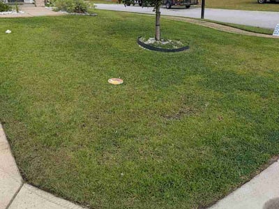 Lawn care service in Blythewood, 29016