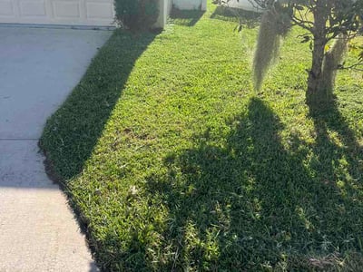 Lawn care service in Winter Garden, 34787