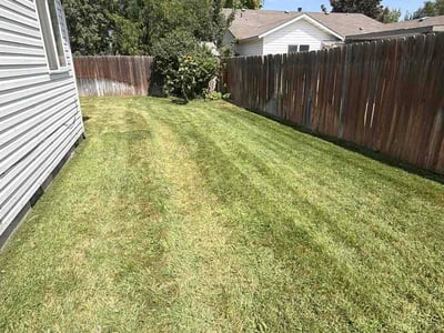 Lawn care service in Boise, 83709