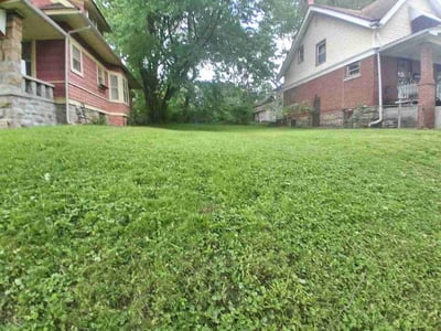 Lawn care service in Kansas City, 64128