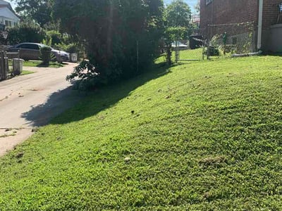 Lawn care service in Parkville, 21234