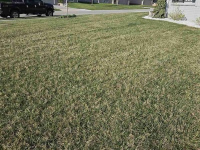 Lawn care service in Omaha, 68136