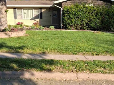 Lawn care service in Omaha, 68154