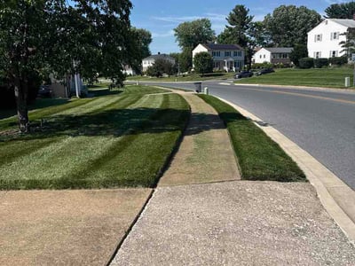 Lawn care service in Catonsville, 21228