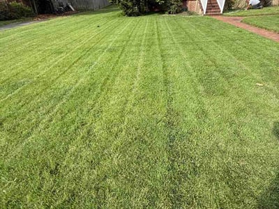 Lawn care service in Falls Church, 22046