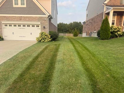Lawn care service in Union, 41091