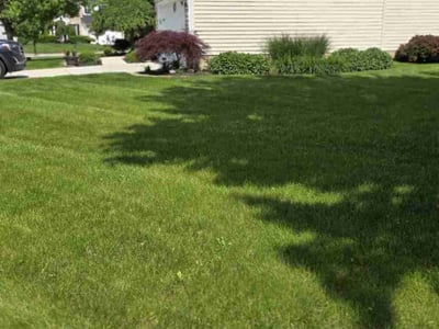 Lawn care service in Grove City, 43123
