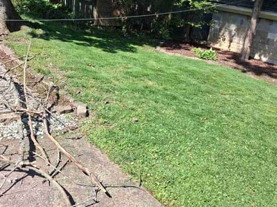 Lawn care service in Pittsburgh, 15216