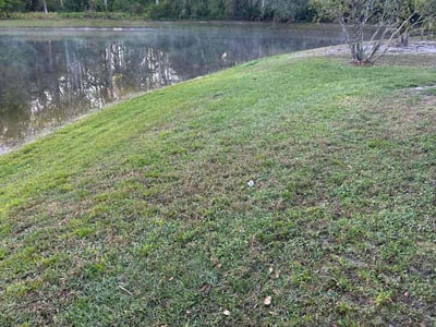 Lawn care service in Land O' Lakes, 34638
