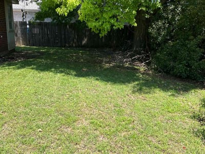 Lawn care service in Arlington, 76018